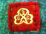 Brownie Guide Badge Obsolete Red Birthday